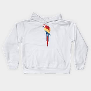 Parrot Pixel Art Kids Hoodie